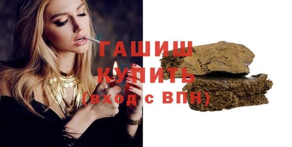 крисы Бородино