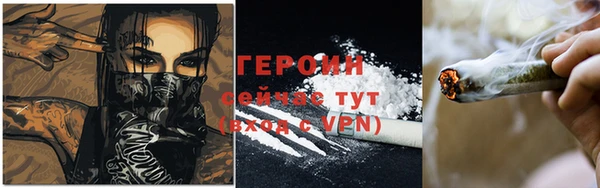 крисы Бородино