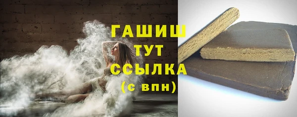 крисы Бородино
