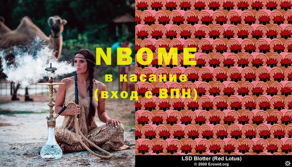 крисы Бородино