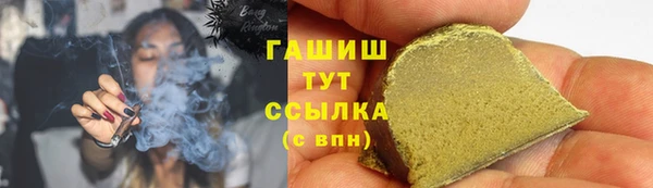 крисы Бородино