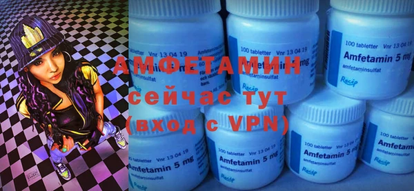 крисы Бородино