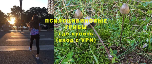 ГАЛЛЮЦИНОГЕННЫЕ ГРИБЫ Бронницы
