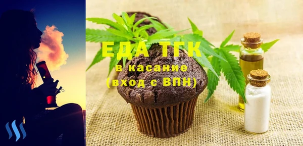 крисы Бородино