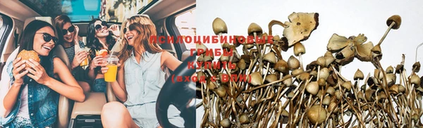 тгк Бугульма