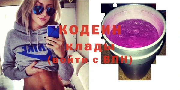крисы Бородино