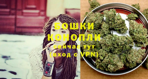 крисы Бородино