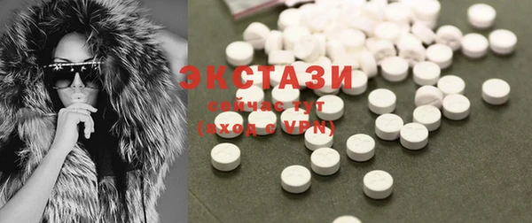 крисы Бородино