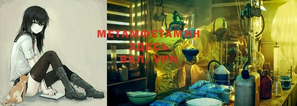 крисы Бородино
