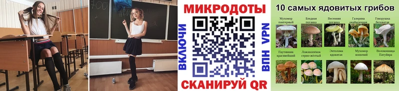 Галлюциногенные грибы Cubensis  магазин продажи   Гусиноозёрск 